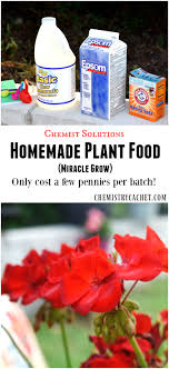 Most r/food posts that make the front page are just a chunk of meat, or several smaller chunks of meat. Chemist Solutions Easy Homemade Plant Food Recipe