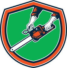 Professional tree services are a call away. Tree Removal Prince Albert For All Your Tree Service Needs