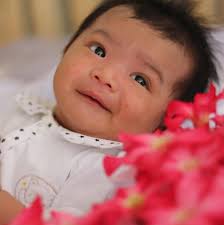 Gege Generale Catipon