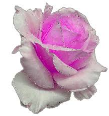 images?q=tbn%3AANd9GcQJVFi76qKXASuPgQIEc