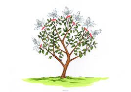 Gewöhnlicher flieder (syringa vulgaris) ist alles andere als gewöhnlich. Flieder Schneiden Alle Schnitte Einfach Erklart Mit Illustrationen