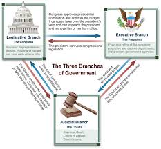 Log On To Constellation Executive Branch Overused Words Branches Of Government