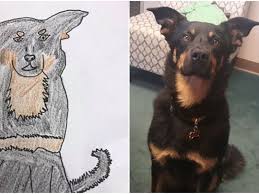 Animal foundation & pet pantry of wisconsin. On Wihumane Stories On Wisconsin Humane Society Pets Humane Society