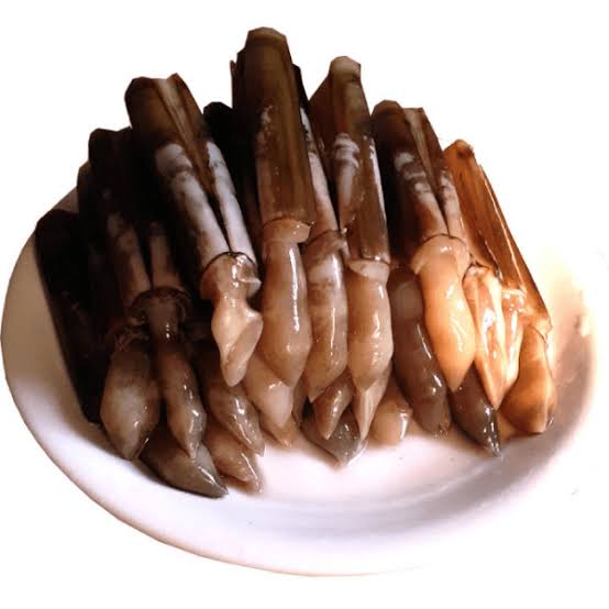 Ốc Móng Tay