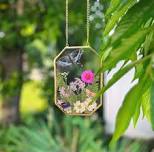 Pressed Flower Wall Art Workshop