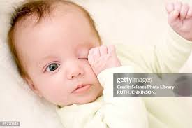 632 Ruth Hands Stock Photos, High-Res Pictures, and Images