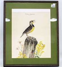 Eastern Meadowlark" by Don Whitlatch