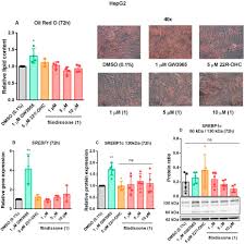 Image result for Trichilia prieuriana