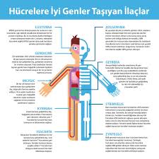 8 Sinif 2 Unite Biyoteknoloji Konu Anlatimi Dnz Hoca 2020 Biyoteknoloji Sinif Ordu