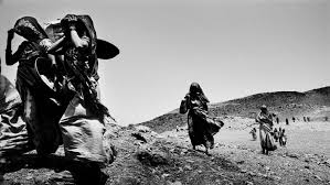 Image result for Hura