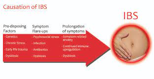 Doctors may treat irritable bowel syndrome (ibs) by recommending changes in what you eat and other lifestyle changes, medicines, probiotics, and mental health therapies. Ibs Succesfully Managed By Nutritional Therapy Clinical Education