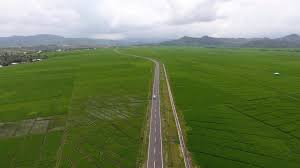 IPP Memulai Persawahan Lembor - Kanisius Deki