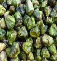 Water caltrop, water chestnut or singhara is a fruit of a freshwater aquatic plant. Production Technology Of Water Chestnut Trapa Natans L Krishisewa