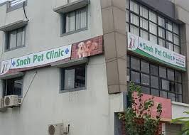 Cartwright for about 9 years. 3 Best Veterinary Hospitals In Ahmedabad Expert Recommendations