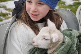 While Bethlehem in the Holy Land saw weather in the 70s over the weekend,  members of the First Congregational Church in Hadley broke through snow and  ice for its reenactment of the