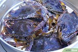 3 Easy Ways To Cook Blue Crabs - Wikihow