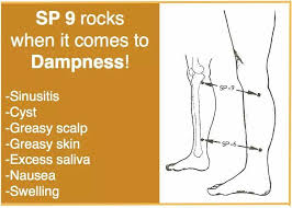 Pin By Heidi Cooperstein On Acupressure Acupressure Treatment Acupressure Massage Acupuncture