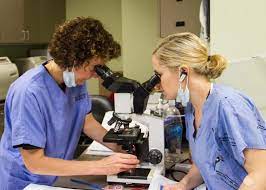 All content is posted anonymously by employees working at atlanta skin cancer specialist. Services Ascs