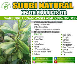 Image result for Warburgia ugandensis