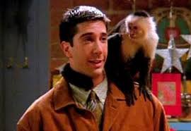 Phoebe is singing to ross the song of sting by making a change with the lyrics. Ross Geller Friends Wiki Fandom