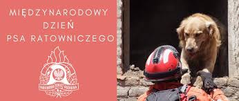 Święto ustanowione na mocy rezolucji przez zgromadzenie ogólne onz z 17 grudnia 1985 roku. Miedzynarodowy Dzien Psa Ratowniczego Komenda Glowna Panstwowej Strazy Pozarnej Portal Gov Pl