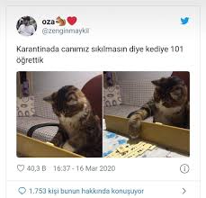 Svl Adli Kullanicinin Komik Seyler Panosundaki Pin 2020 Komik Seyler Komik En Komik Alintilar