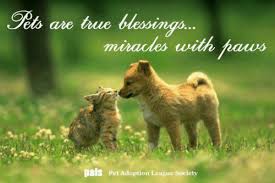 Image result for images Blessings and Miracles