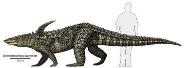 Aetosaurus is an extinct genus of archosaur reptile belonging to the order aetosauria. Aetosauria Wikipedia
