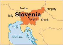 Council meetings are regularly attended by representatives from the slovenian government, depending on the policy area being addressed. International Psycho Oncology Society Slovenia