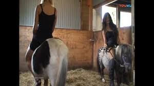 Puppy girls (yahoo) stampede talk (yahoo) toronto pets (yahoo) uk pony play (yahoo) ponyboard. Riding Pony Napoleon Exporntoons