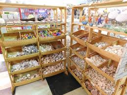 Take A Tour Of The World S Largest Shell Factory In Florida Shell Factory Florida Florida Travel