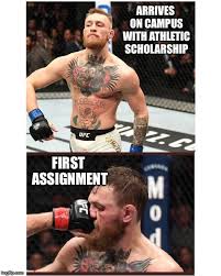 Meme generator, instant notifications, image/video download, achievements and many more! Conor Mcgregor Memes Gifs Imgflip