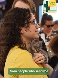 Courtney Gustafson Cat