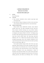 Pdf Laporan Praktikum Biologi Manusia Sistem Pencernaan Shofly Yy99 Academia Edu