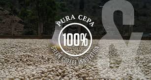 Riječ zakrpa, suvišna riječ etimologija tal. Pura Cepa Latorre Dutch