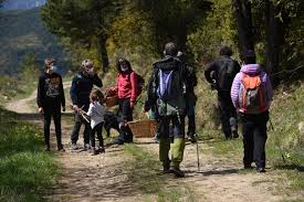Una entre millones cada año, millones de mariposas emprenden el viaje desde canadá hasta méxico. Guided Nature Trips In The Pyrenees Natural Pirineos