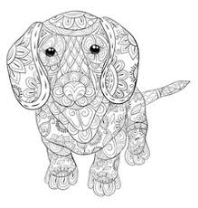 Adult coloring book page with flowers and mandalas. Mandala Art Dogs Vector Images Over 180
