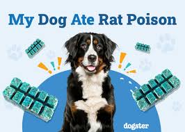 Image result for ratpoison