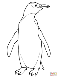 March 25, 2020 (day #124) remember these times are a suggestion, not a requirement. Hoiho Yellow Eyed Penguin Coloring Page Free Printable Coloring Coloring Home