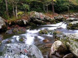Check spelling or type a new query. At Greenbrier Picture Of Great Smoky Mountains National Park Tennessee Tripadvisor