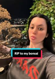 Remembering Rapheal: A Tribute to My Bonsai Tree