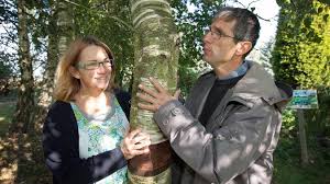 Arneke Les Jardins Du Cygne Fetent 10 Ans De Combat En Faveur De L Environnement