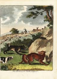 Fox hunting, 18th century. 1792 ...