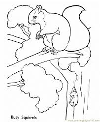 Primarygames is the fun place to learn. Busy Squirrel Coloring Page For Kids Free Squirrel Printable Coloring Pages Online For Kids Coloringpages101 Com Coloring Pages For Kids