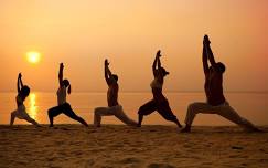 International Yoga Day Miami Wellness Summit