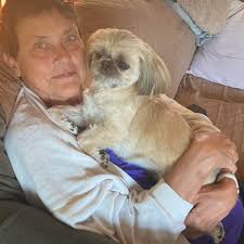 Why is it smoky in the Grey Bruce area today?