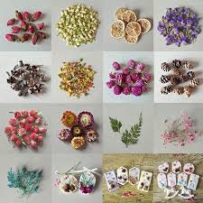 Herbs from a to z. Maynos Dried Flowers Natural Dried Flower Herbs Kit For Bath Soap Making Candle Making Walmart Com Walmart Com