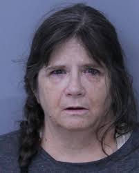 MANSLAUGHTER ARREST: Members of the St. Johns County Sheriff's Major Crimes  Unit have arrested a 59 year-old woman for the Aggravated Manslaughter of  her 15 month-old grandchild. The investigation determined the suspect