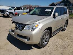 Image result for Satin Cashmere 2013 GX