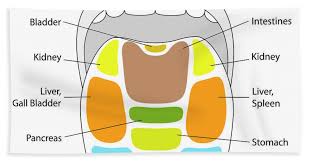 tongue reflexology chart beach sheet